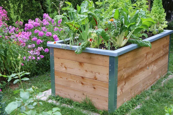 Holz-Hochbeet bepflanzt